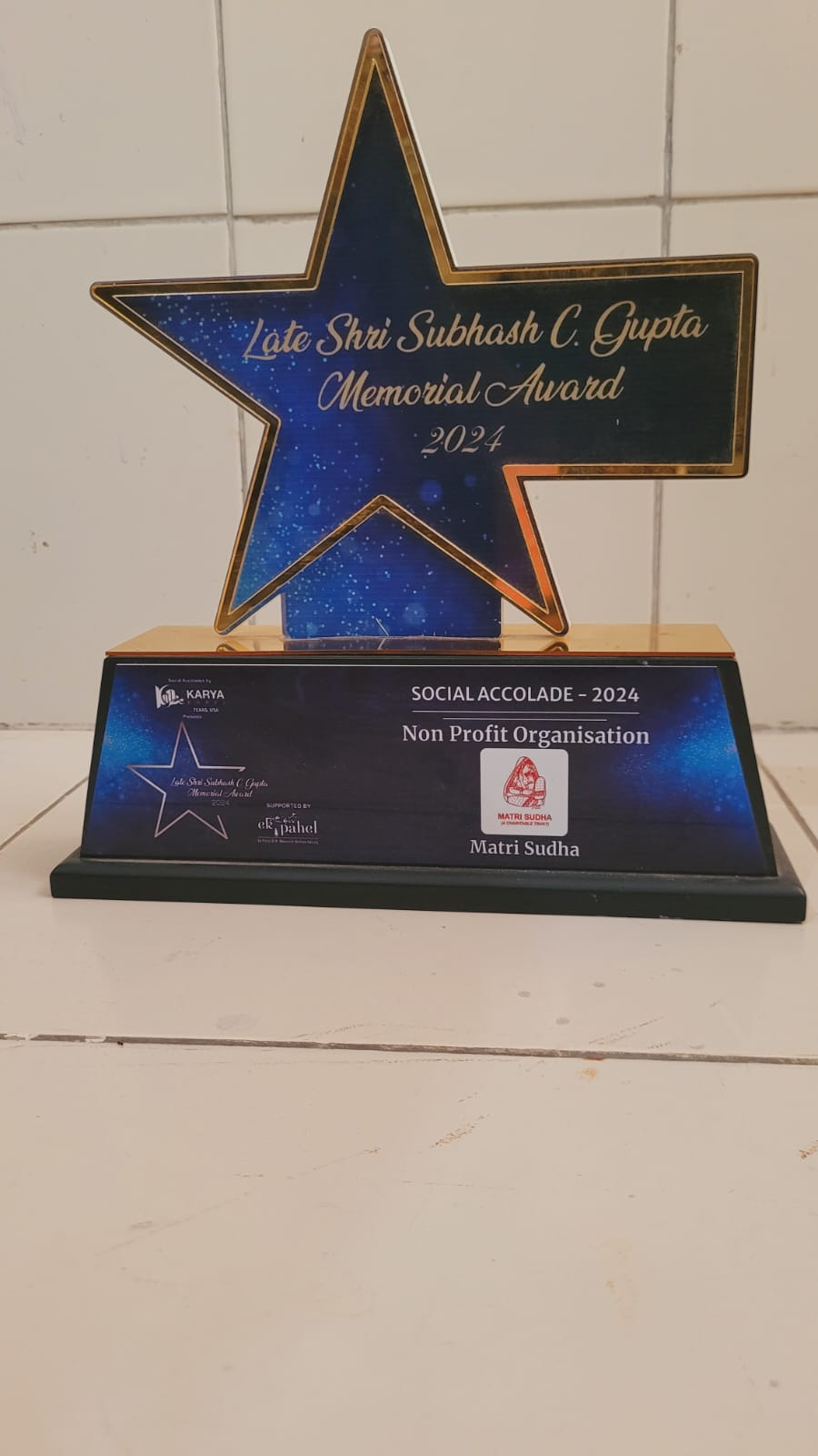 Subhash C Gupta Memorial Award